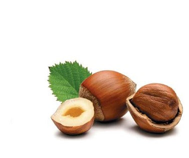 METEORA CIOCCOLATO FONDENTE CON CREMA NOCCIOLA